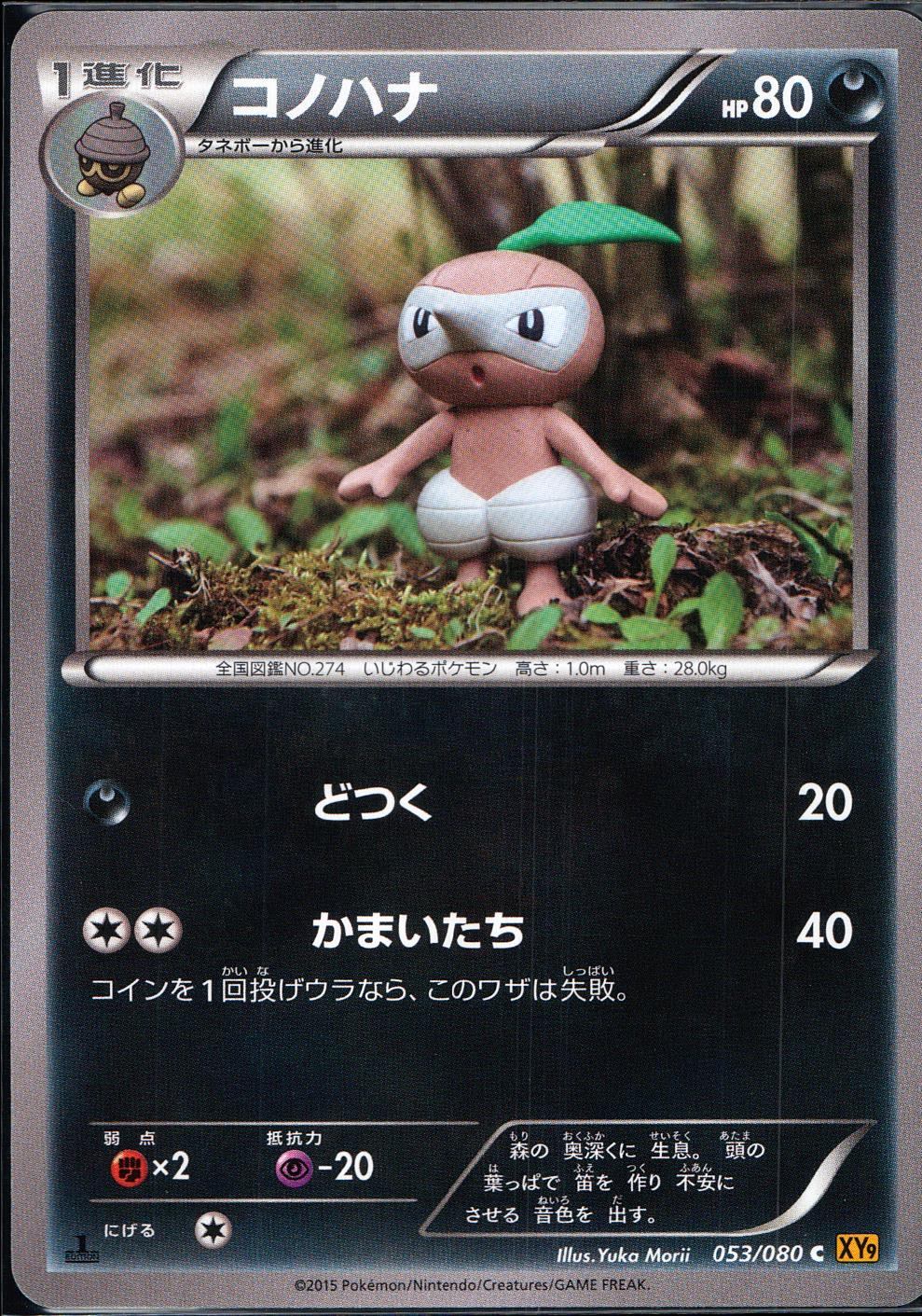 053/080/C/XY9/B コノハナ