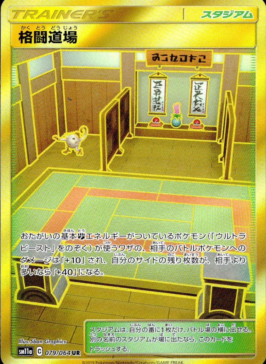 079/064/SM11A/B/UR 格闘道場