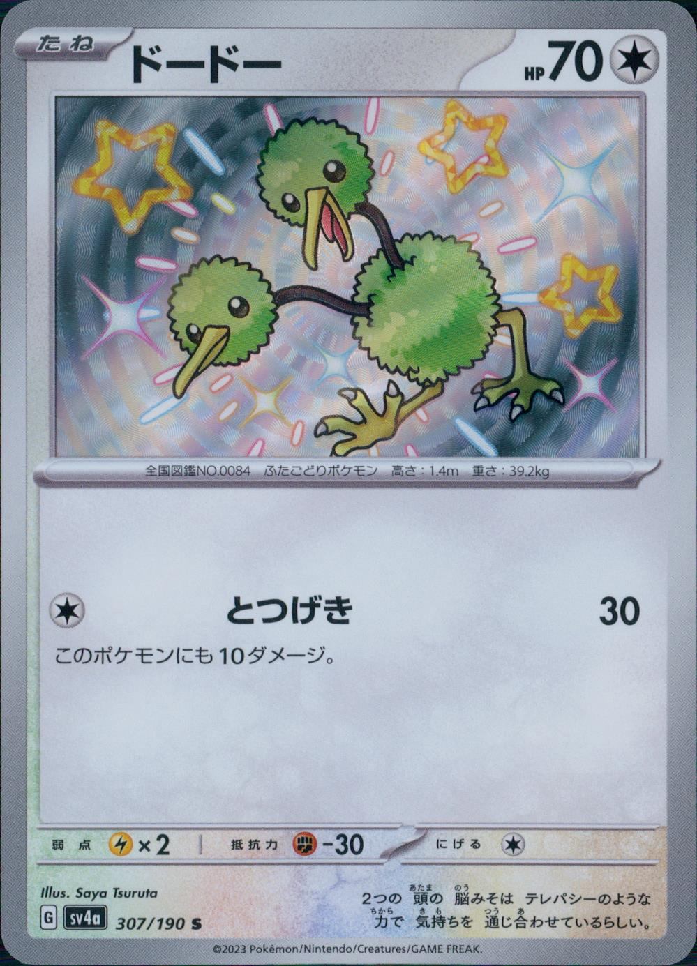 307/190/SV4A/B ドードー