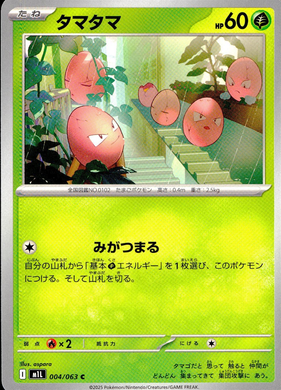 004/063/M1L/B/C Tamatama