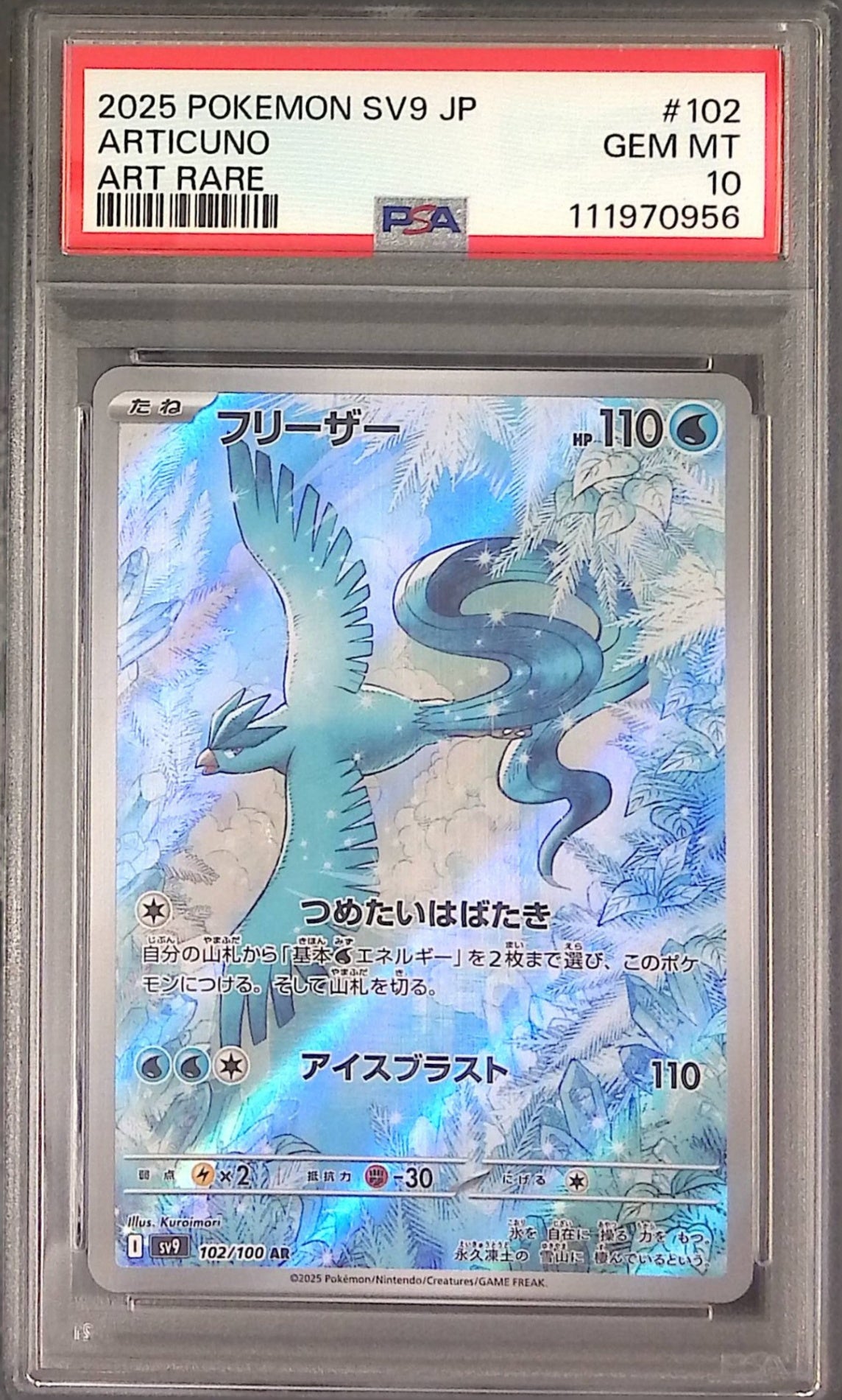 102/100/SV9/AR Freezer PSA10 111970956