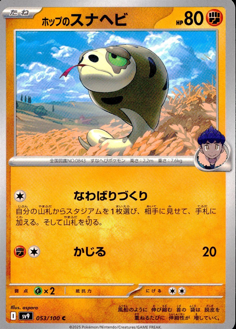 053/100/SV9/B/C ホップのスナヘビ