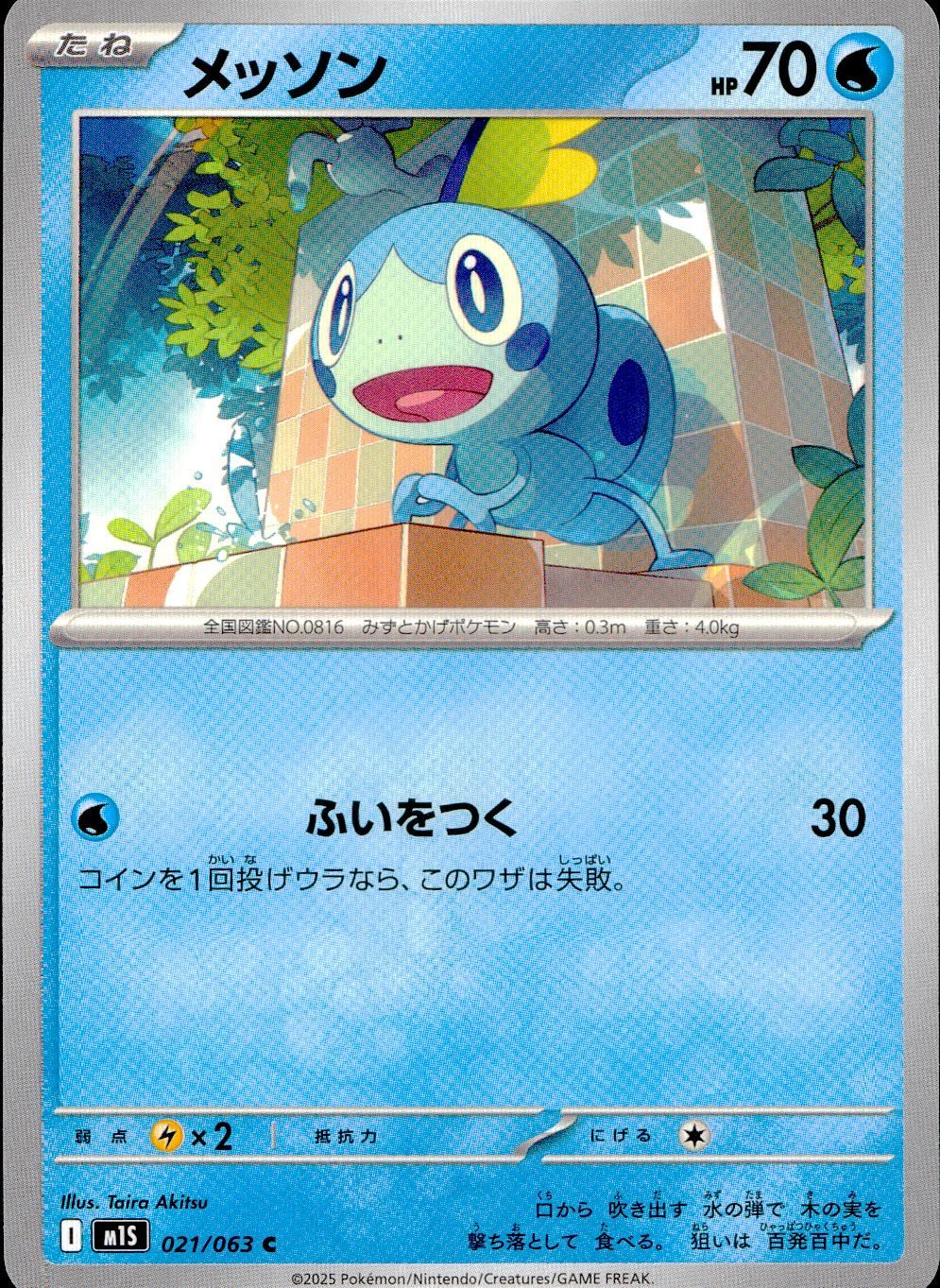 021/063/M1S/B/C Messon