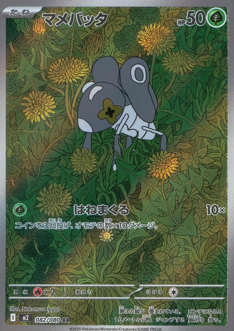 082/080/M2/B/AR マメバッタ