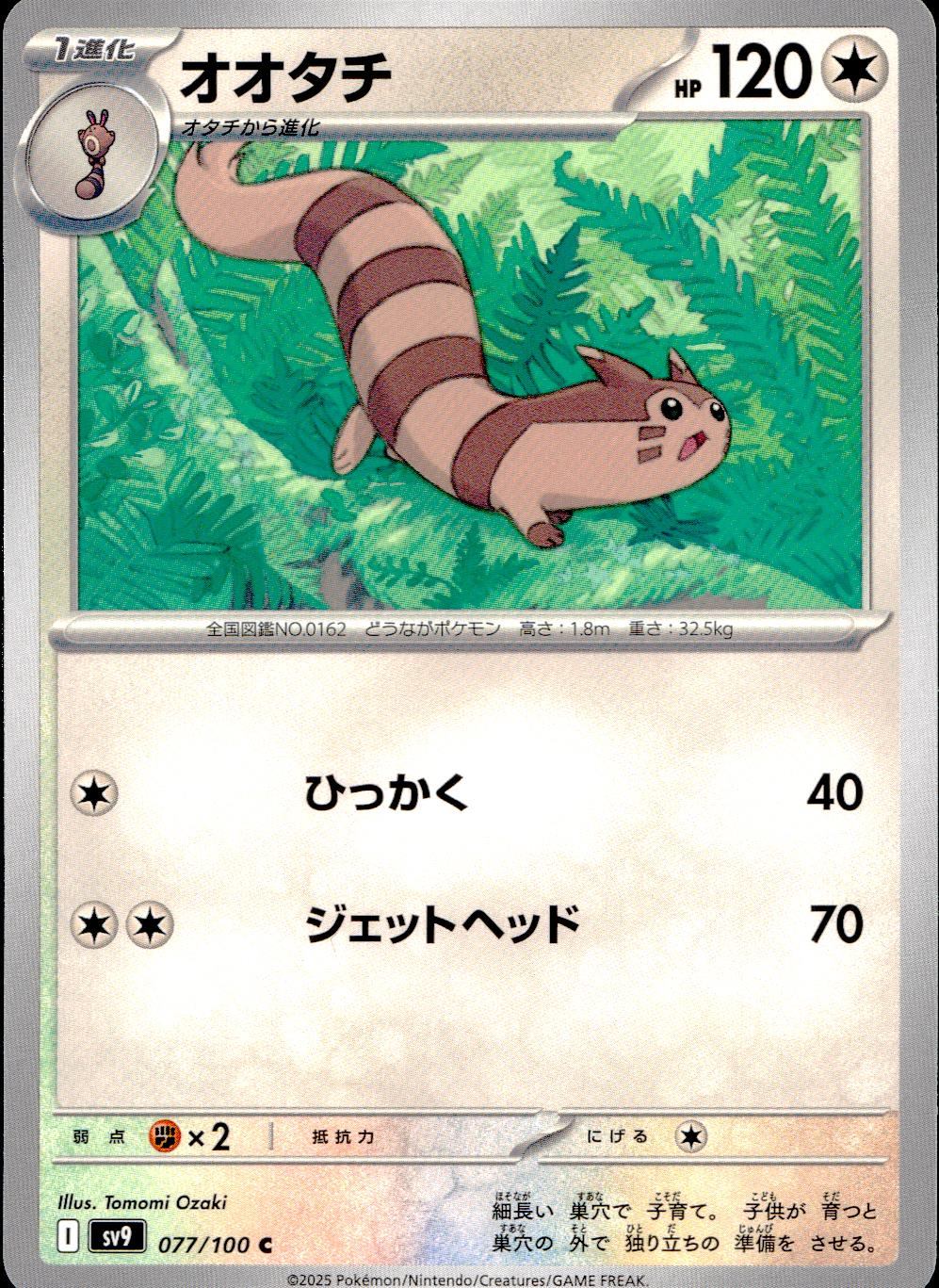 077/100/SV9/B/C オオタチ