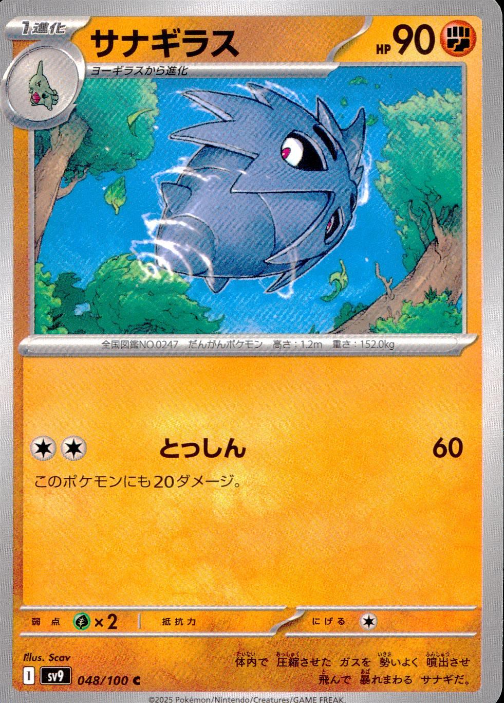 048/100/SV9/B/C サナギラス