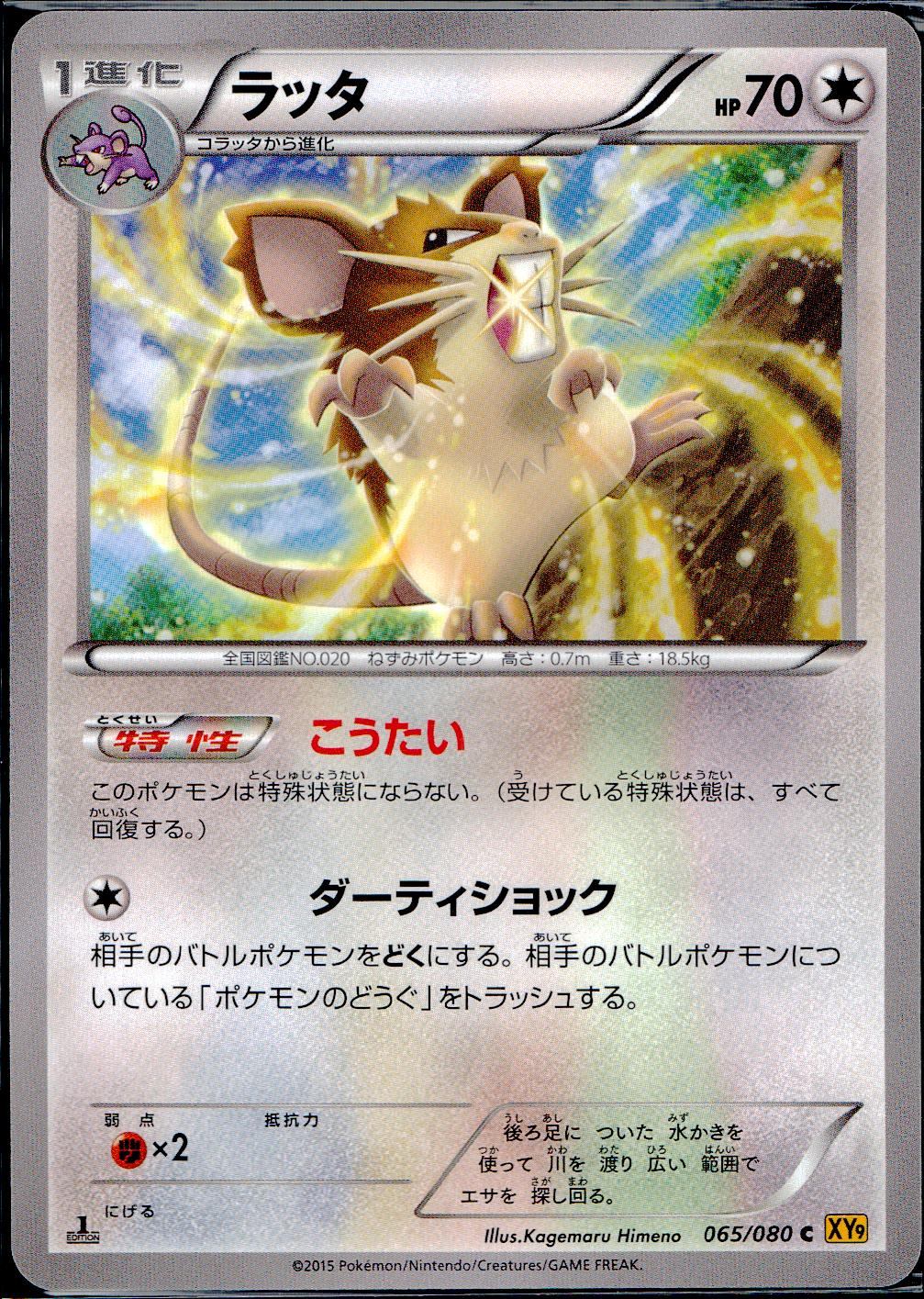 065/080/C/XY9/B ラッタ