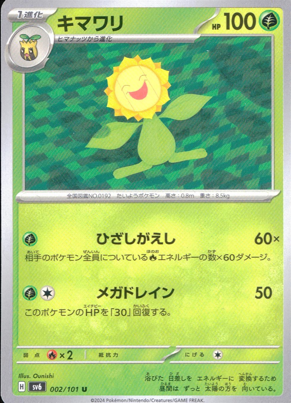 002/101/SV6/B/U Sunflower
