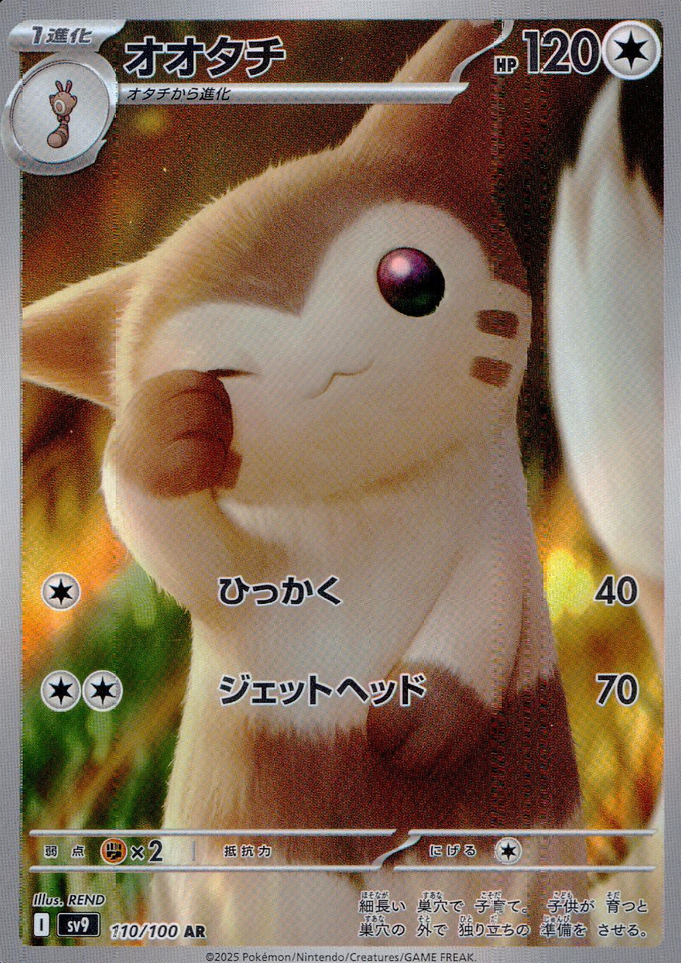 110/100/SV9/B/AR オオタチ