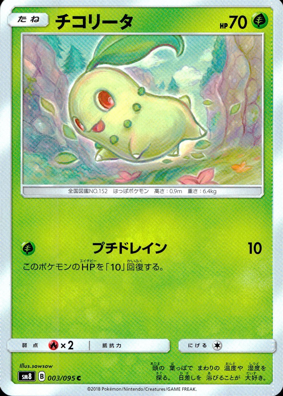 003/095/SM8 チコリータ