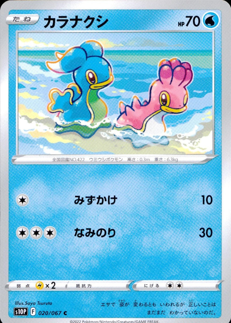 020/067/S10P/B/C Karanaksi