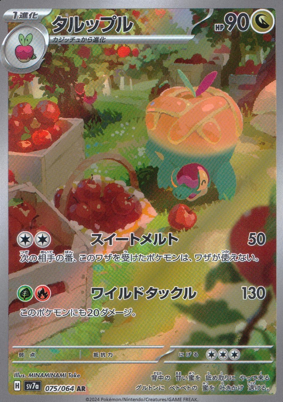 075/064/SV7A/B/AR タルップル
