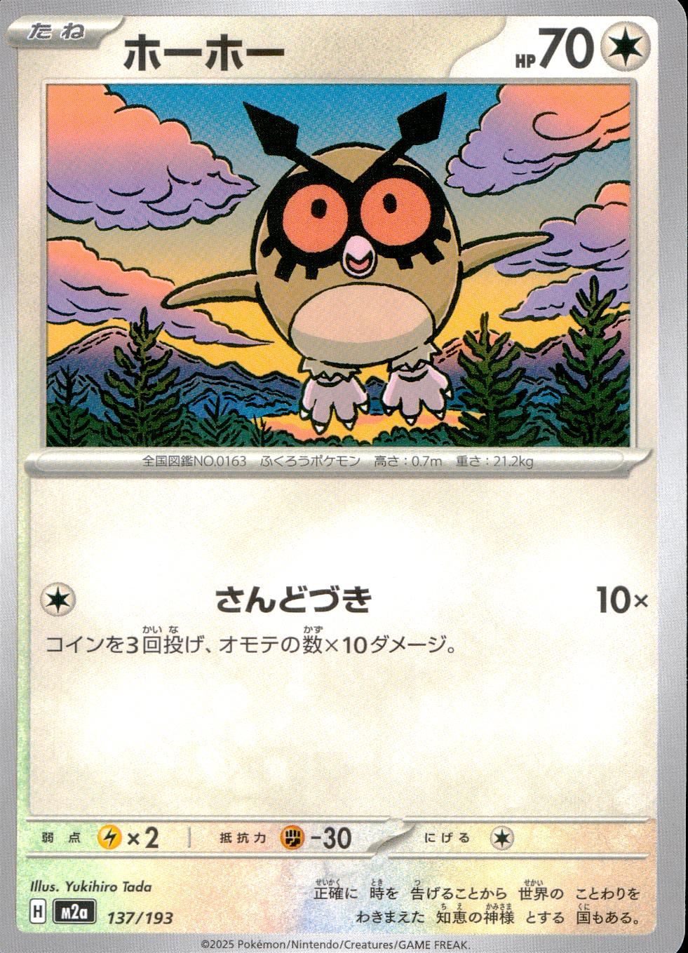 137/193/M2a ホーホー