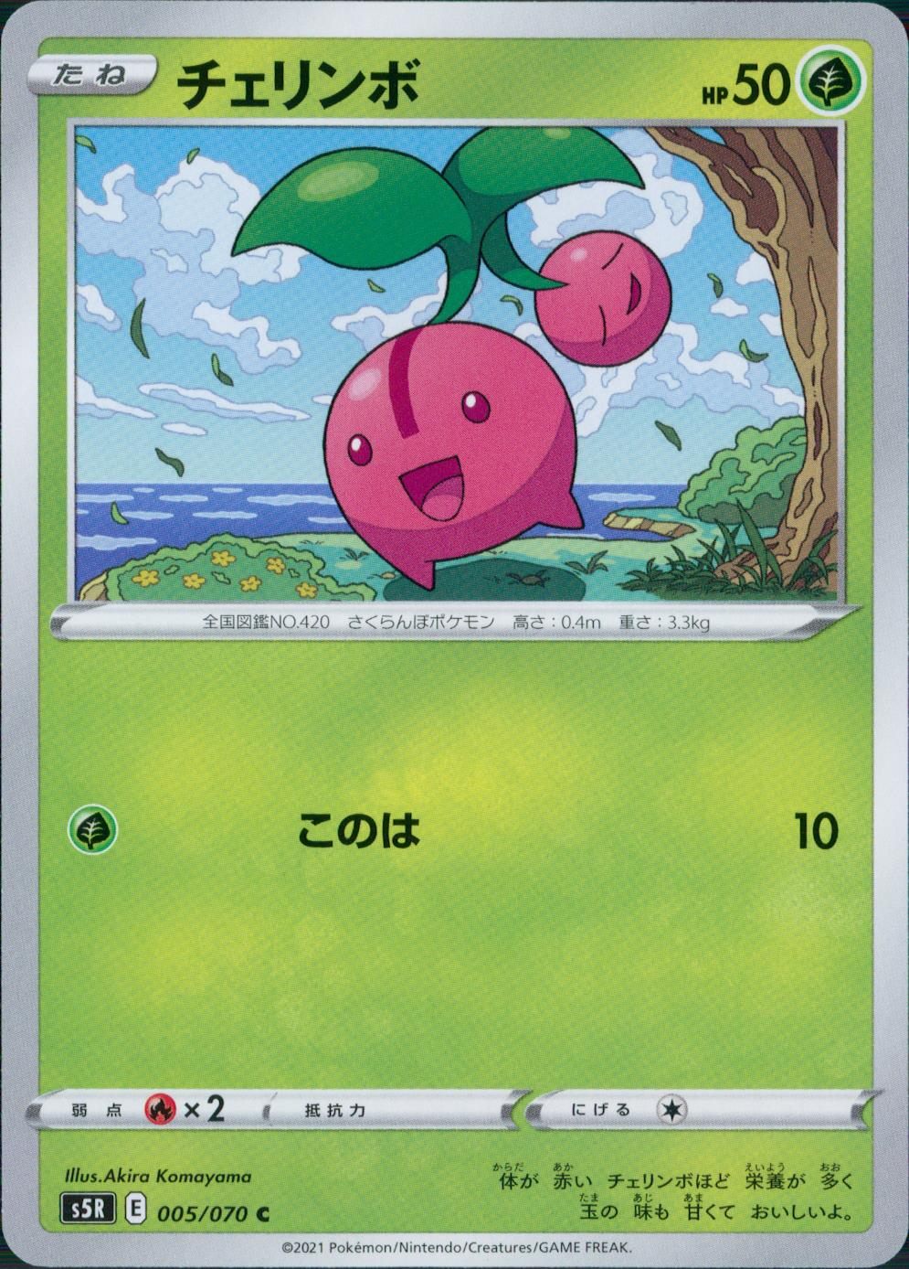 005/070/S5R/B/C チェリンボ