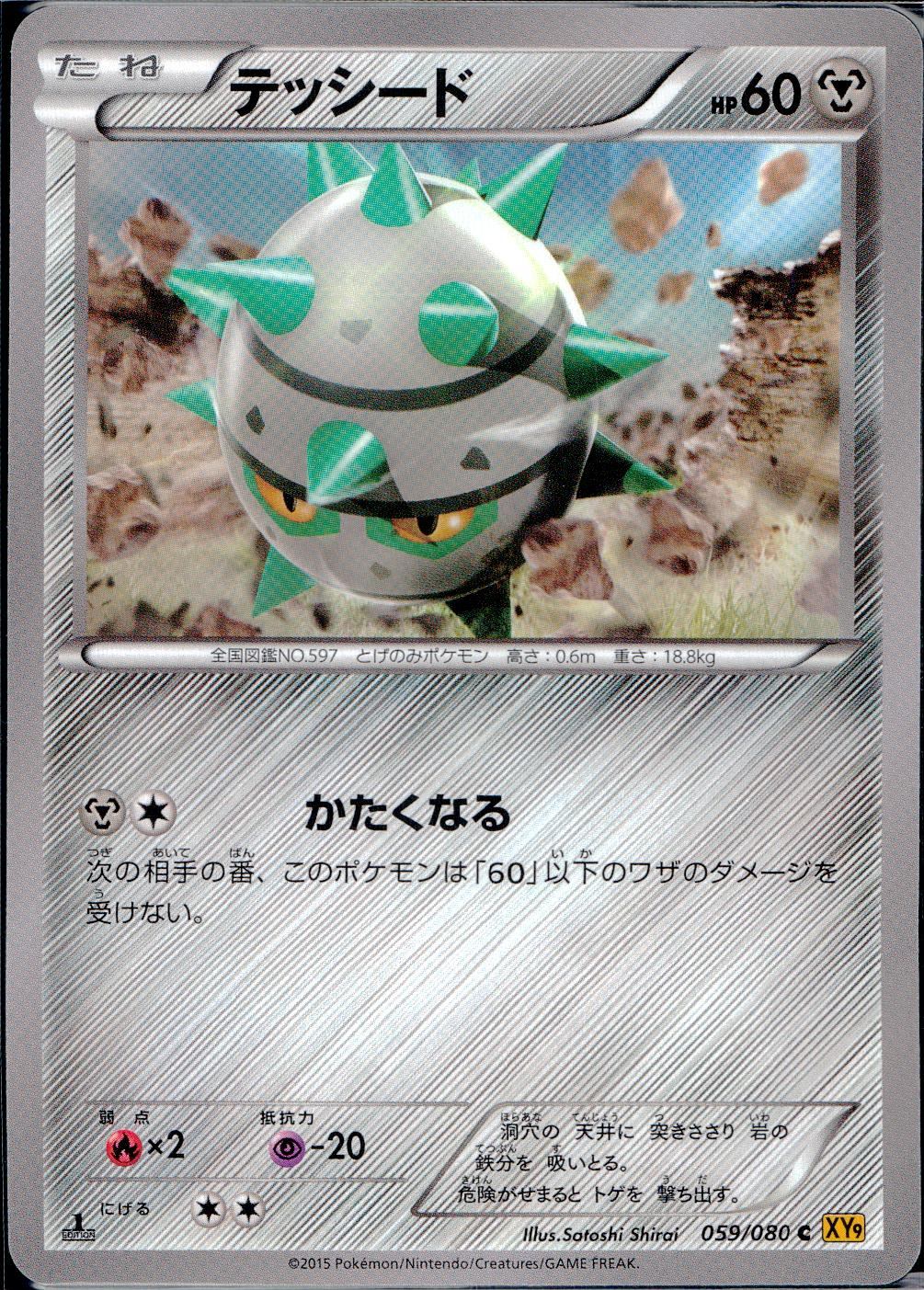 059/080/C/XY9/B テッシード