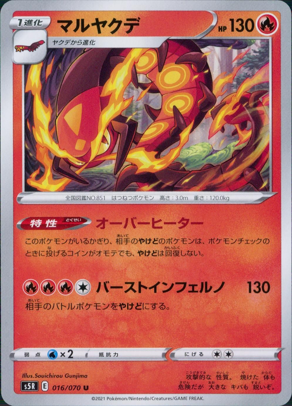 016/070/S5R/B/U マルヤクデ