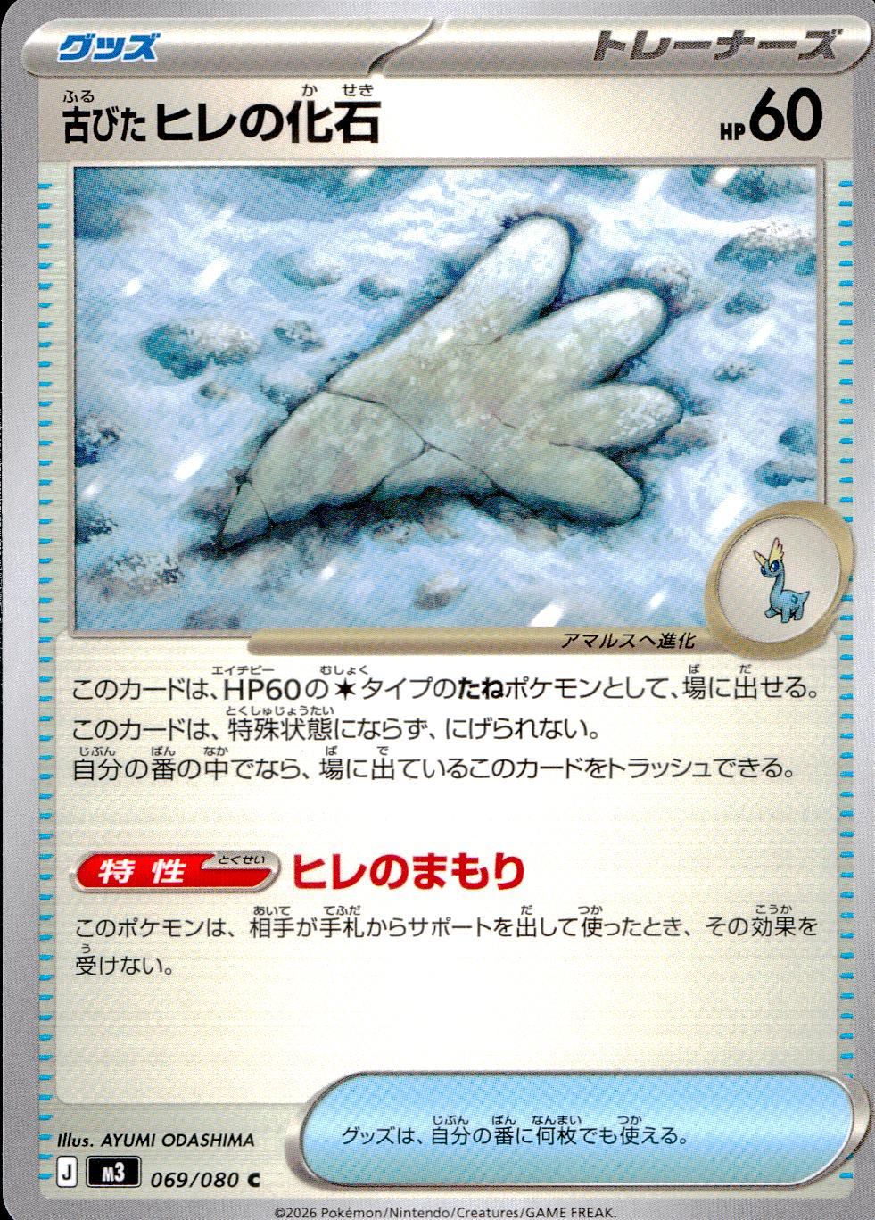 069/080/M3/C 古びたヒレの化石