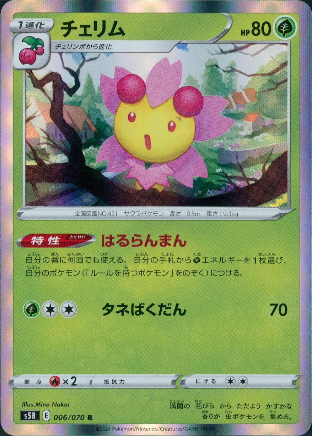 006/070/S5R/B/R チェリム