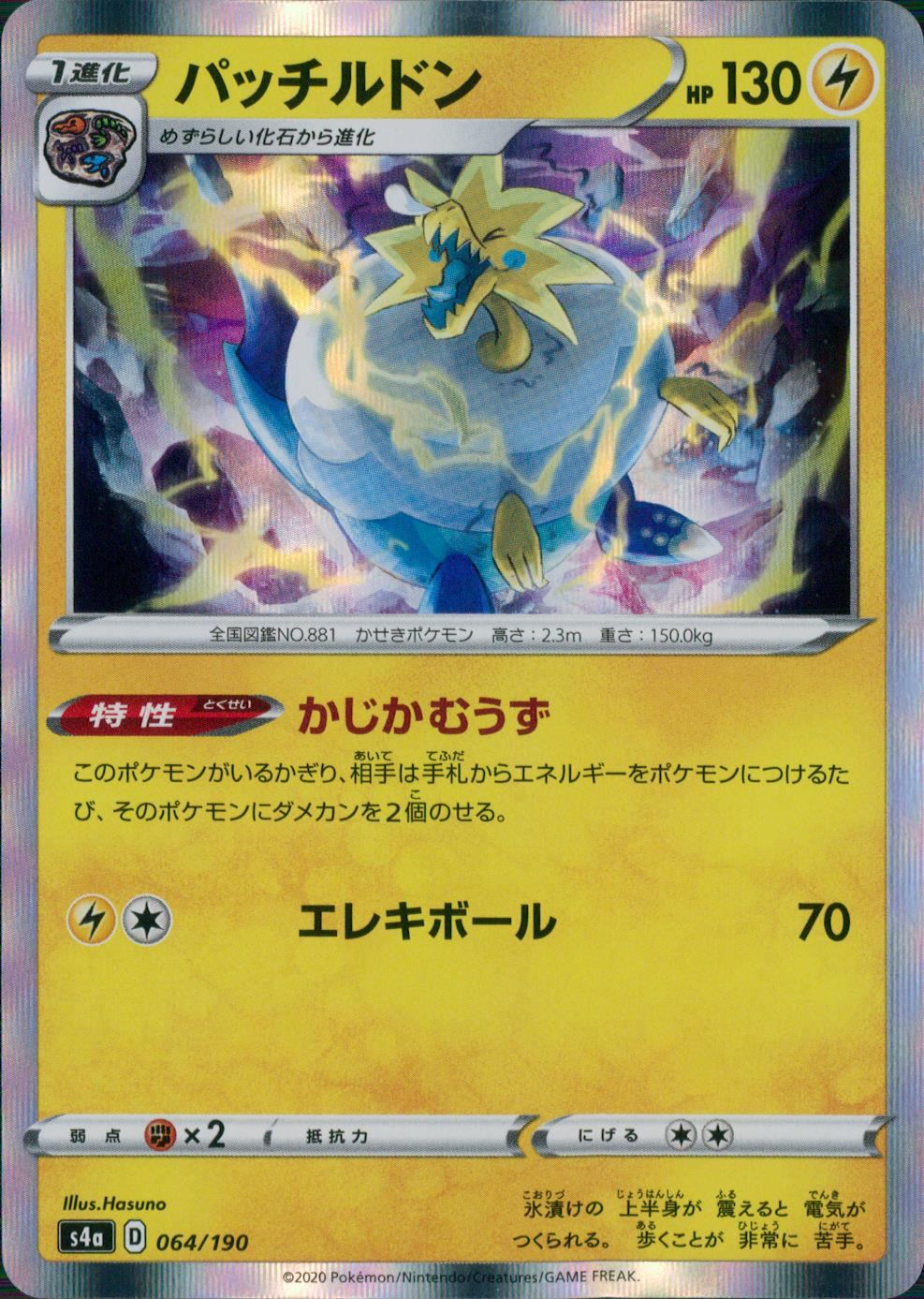 064/190/S4A/B パッチルドン