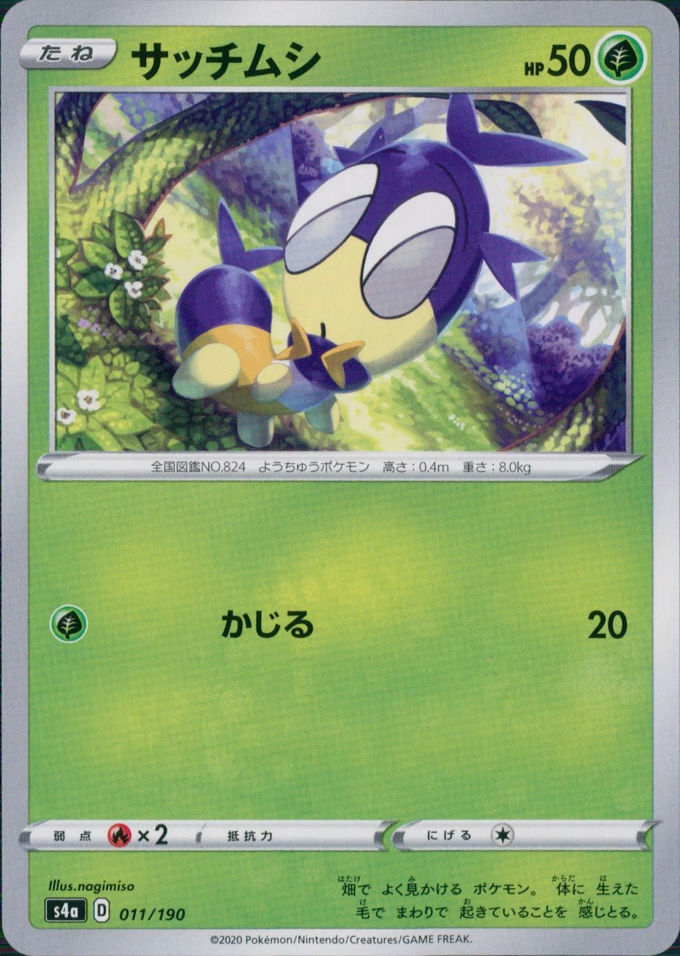 011/190/S4A/B サッチムシ