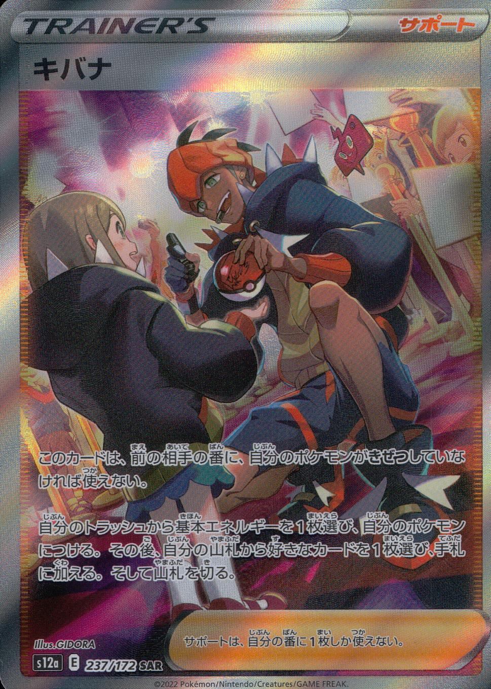 237/172/S12A/B/SAR Kibana