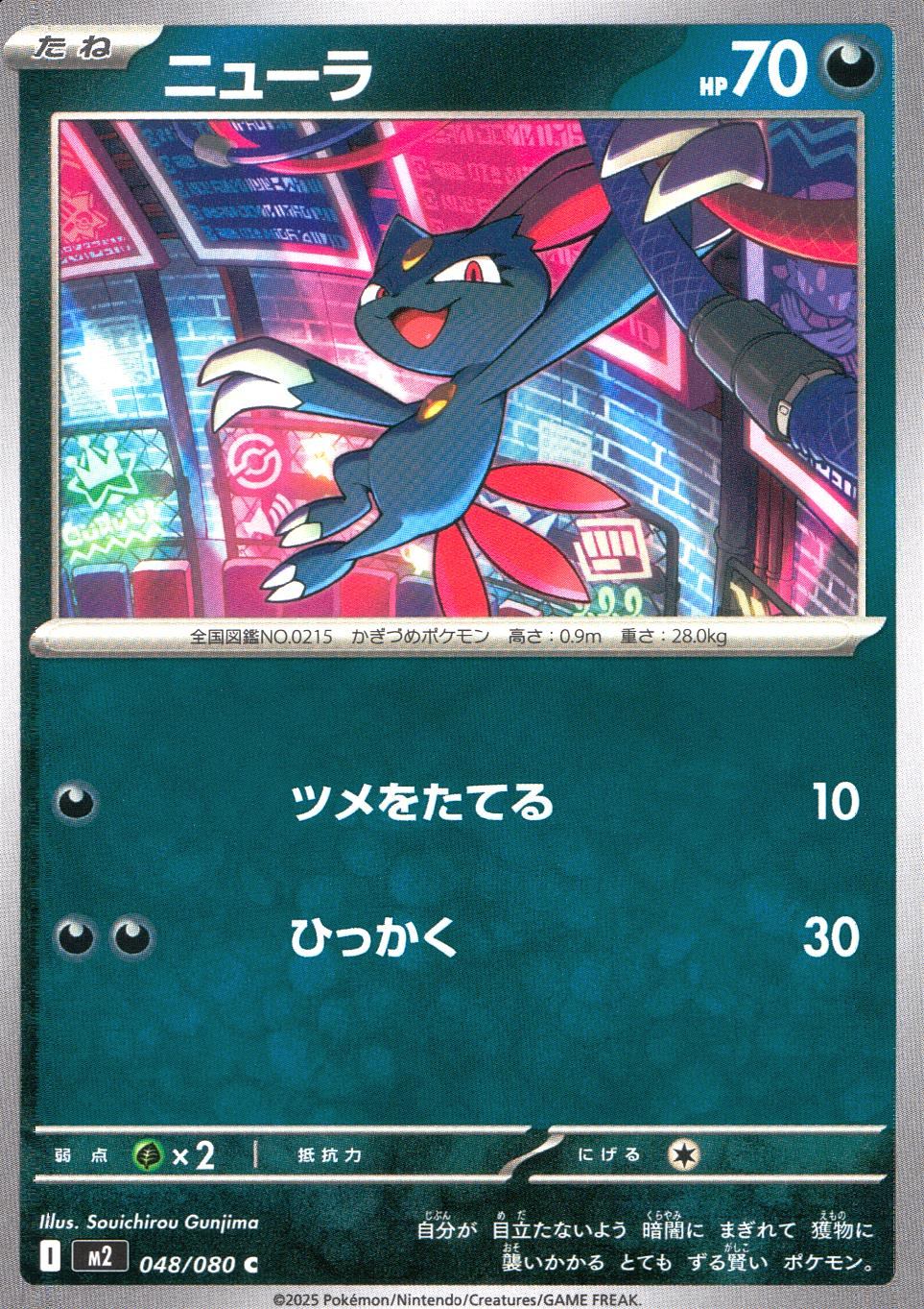 048/080/M2/B/C ニューラ