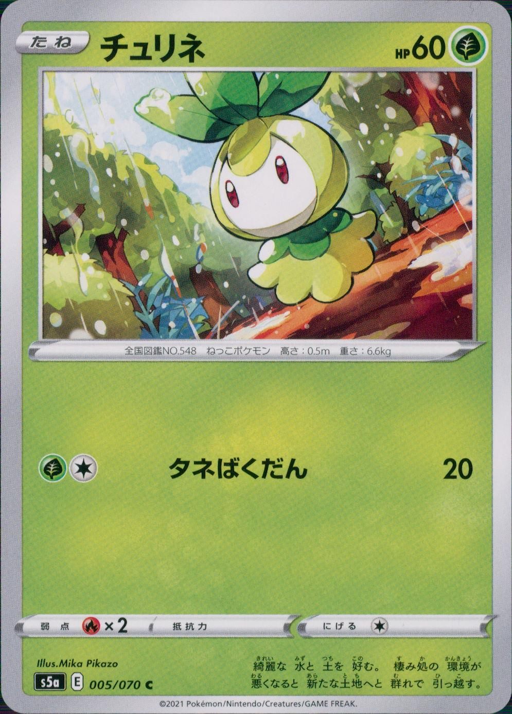 005/070/S5A/B/C チュリネ