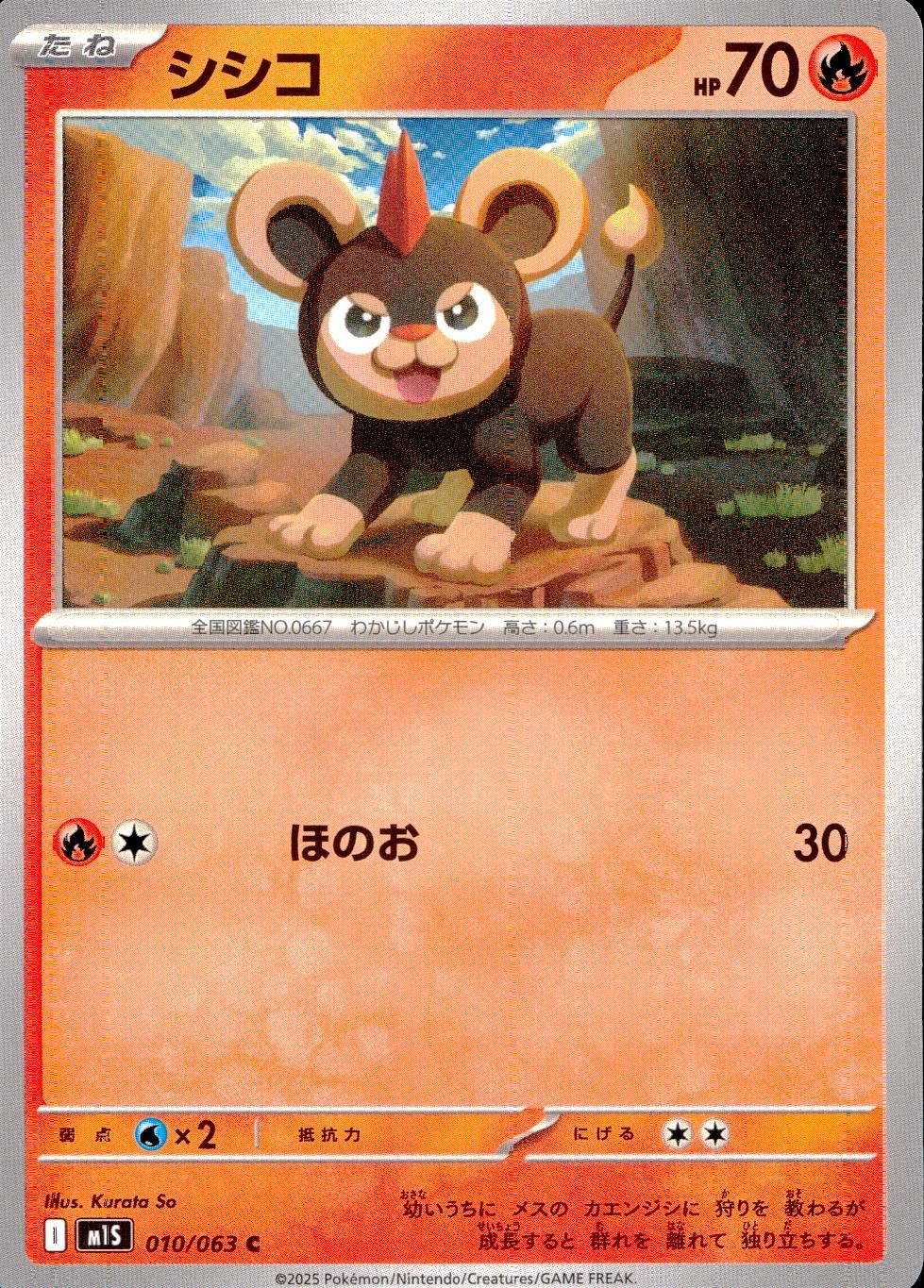 010/063/M1S/B/C Shishko