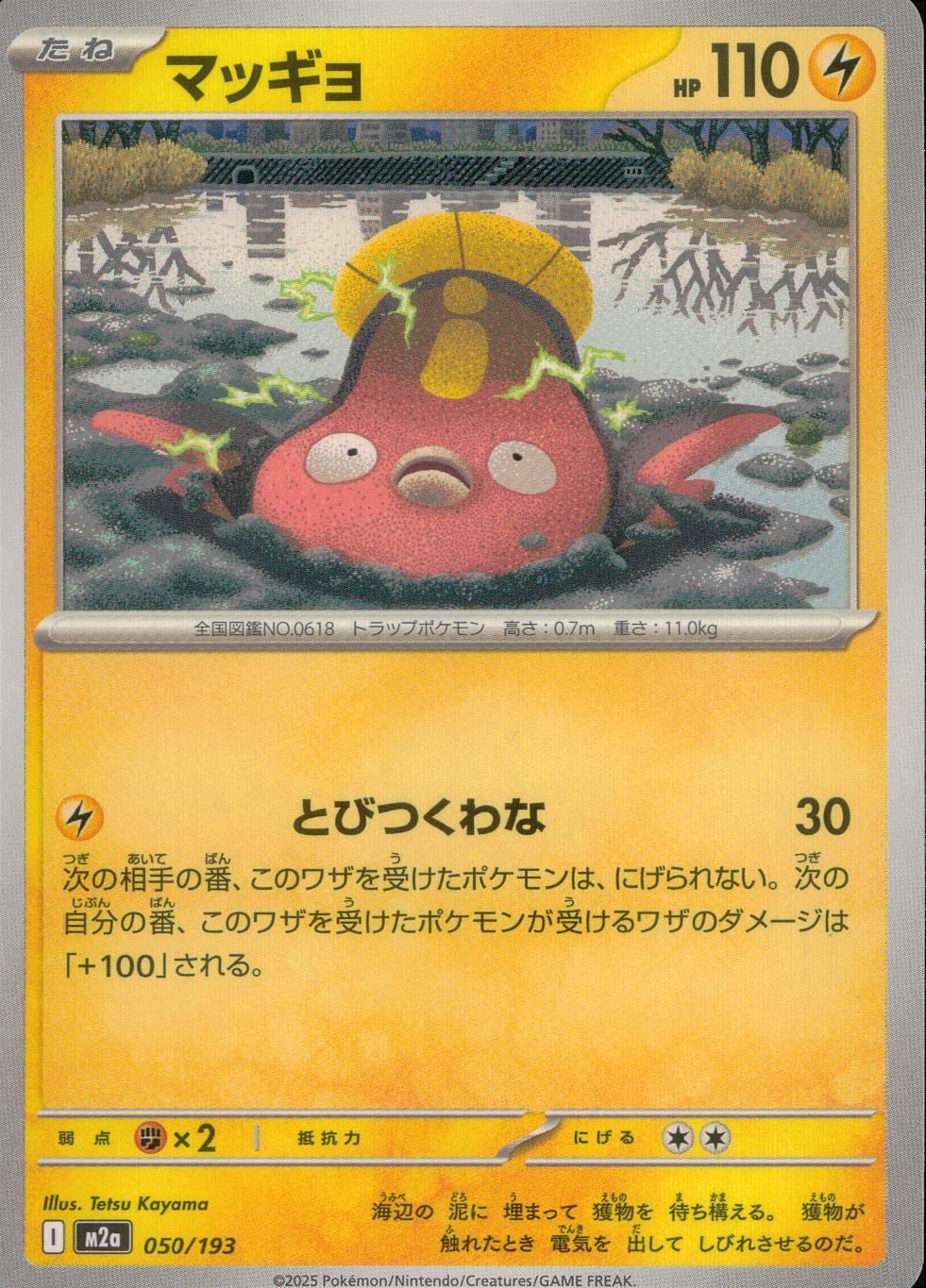 050/193/M2a マッギョ