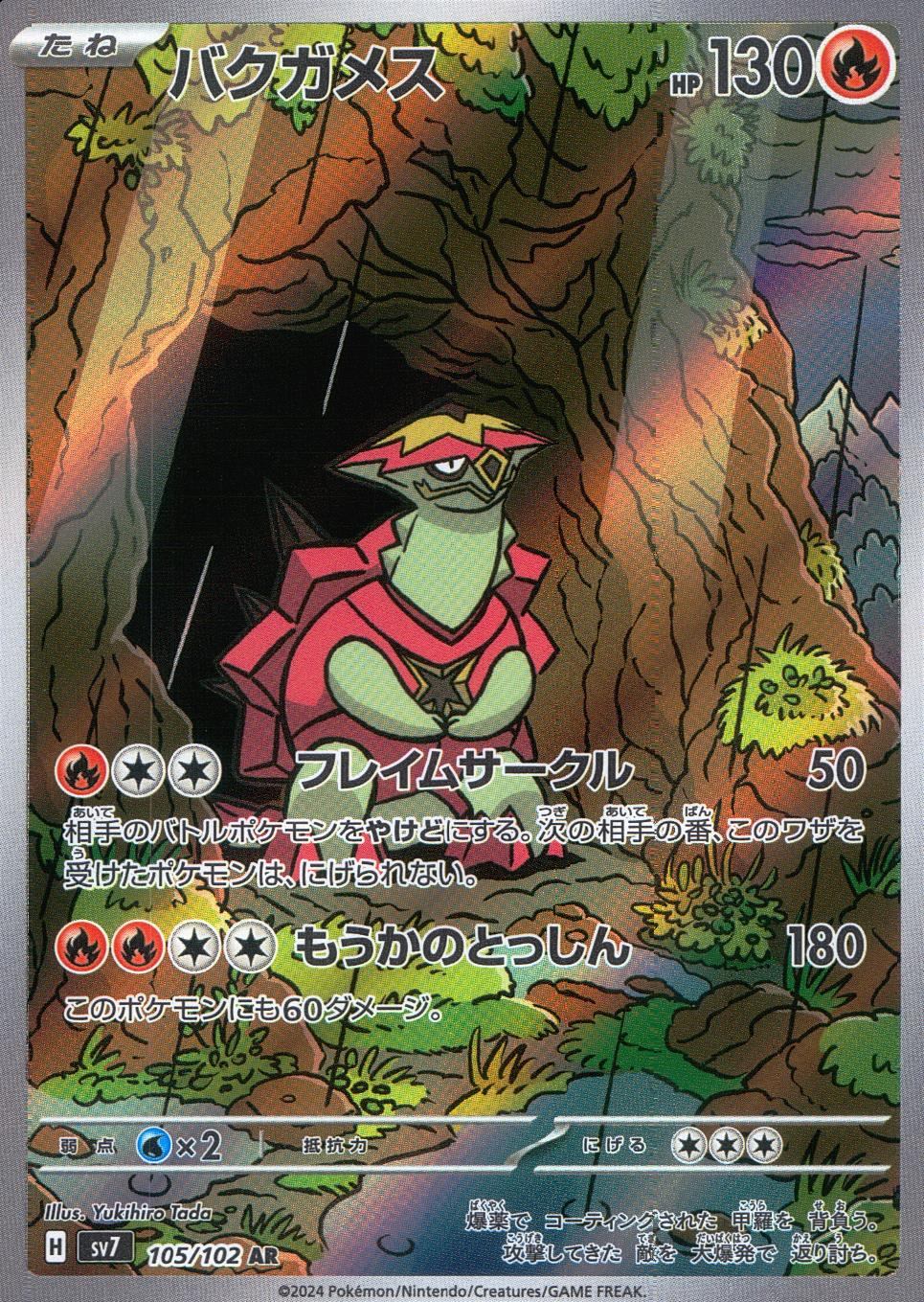 105/102/SV7/B/AR バクガメス