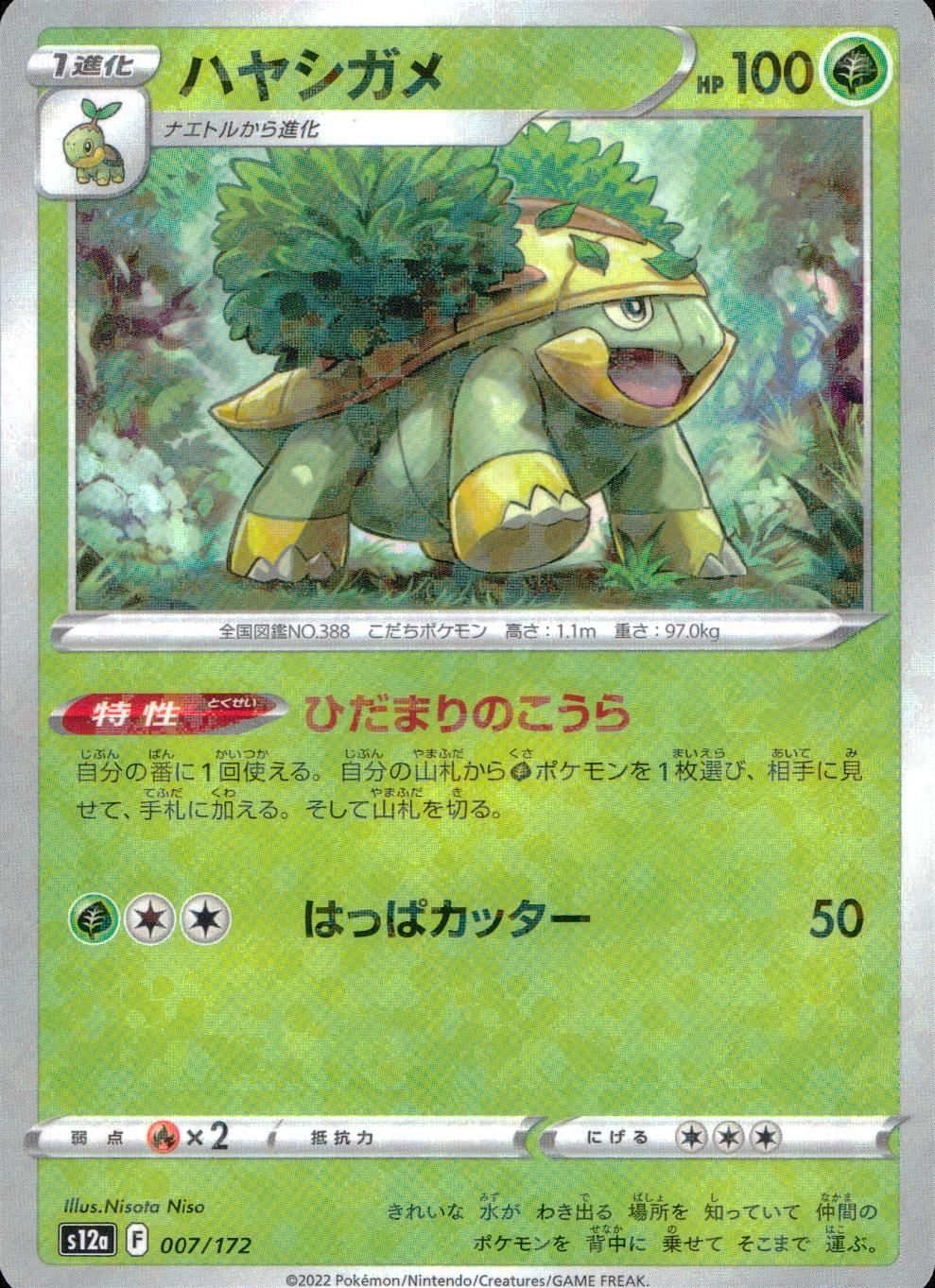 007/172/S12A/BM ハヤシガメ ミラー