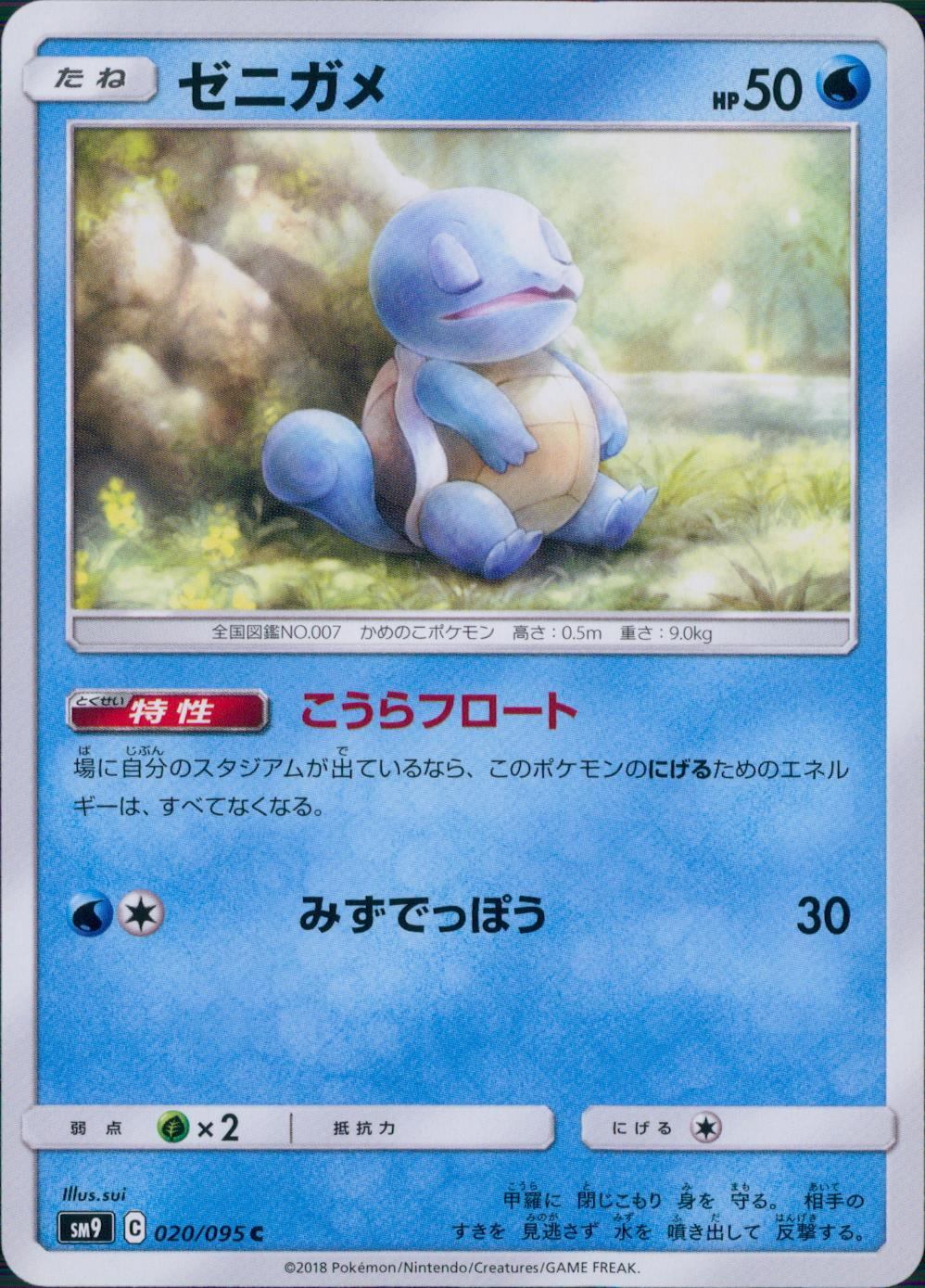 020/095/SM9/B/C ゼニガメ