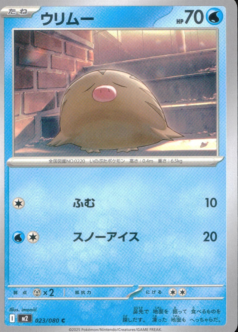 023/080/M2/B/C ウリムー