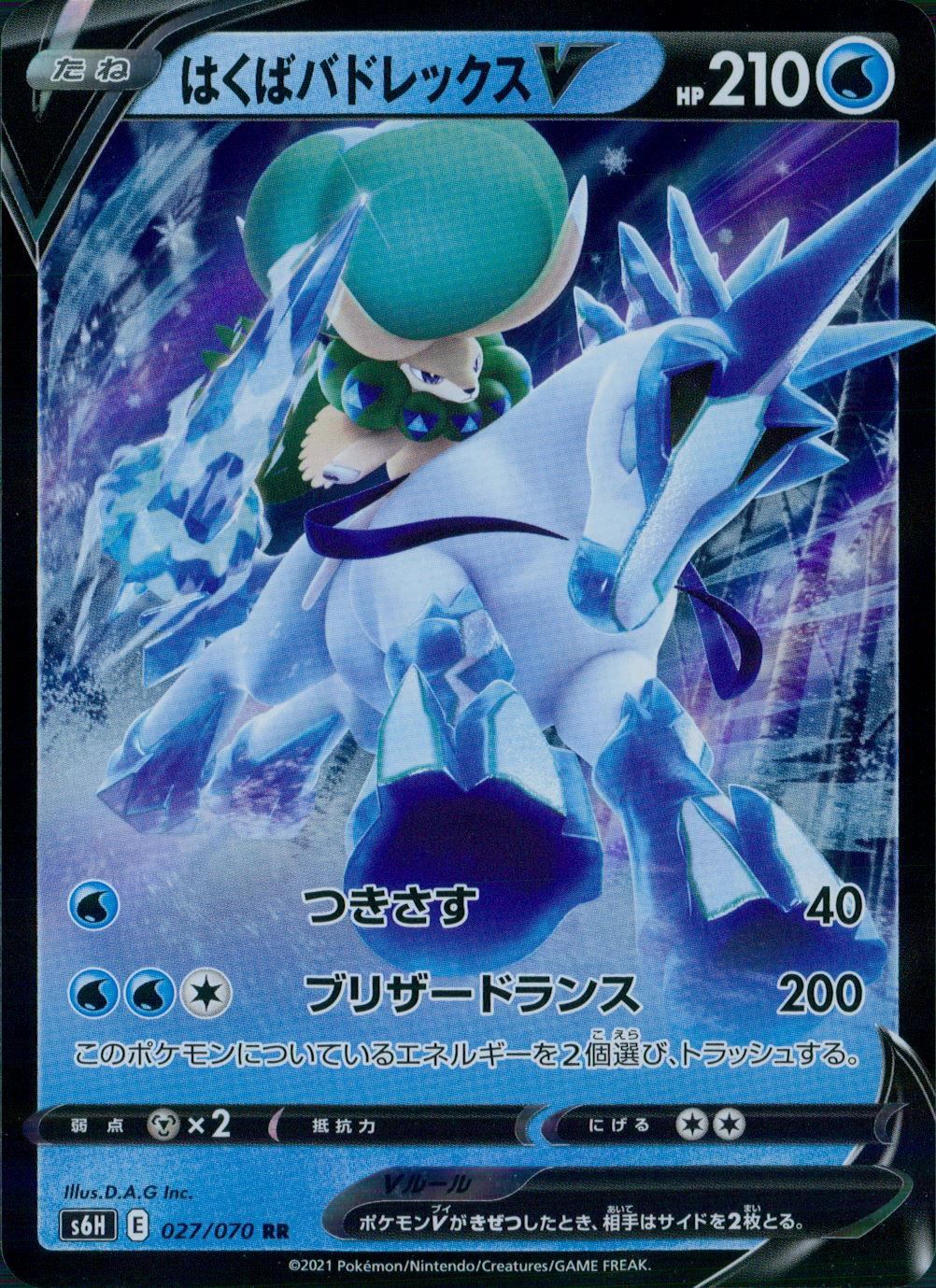 027/070/S6H/B/RR Hakuba Badrex V