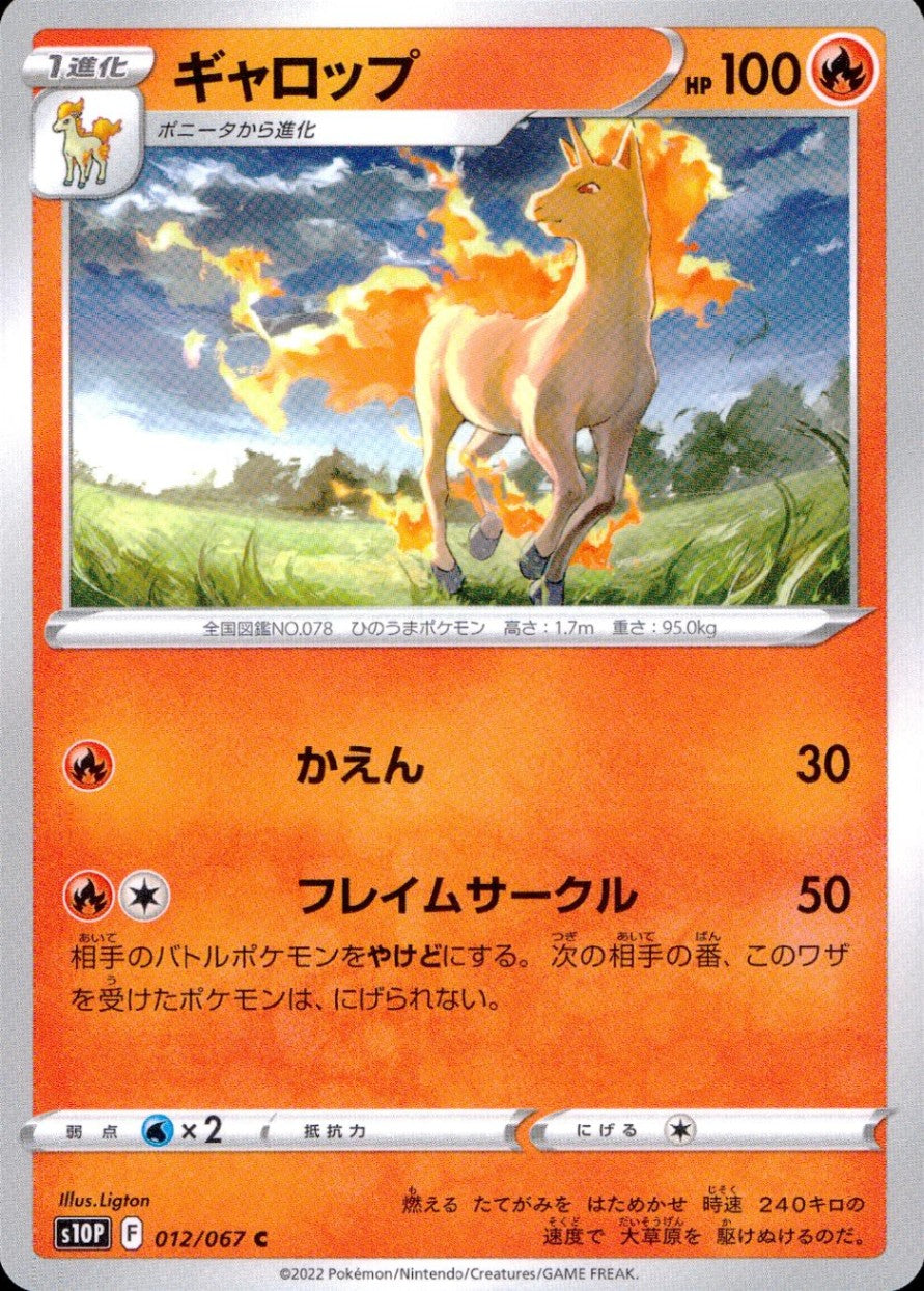 012/067/S10P/B/C Gallop