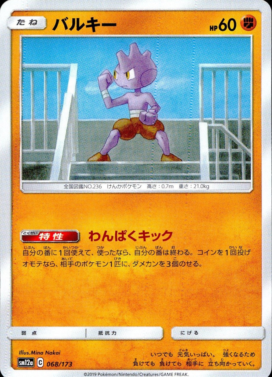 068/173/SM12A/バルキー