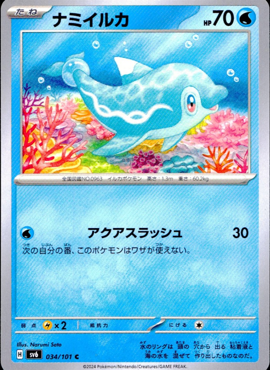 034/101/SV6/B/C Pacific dolphin