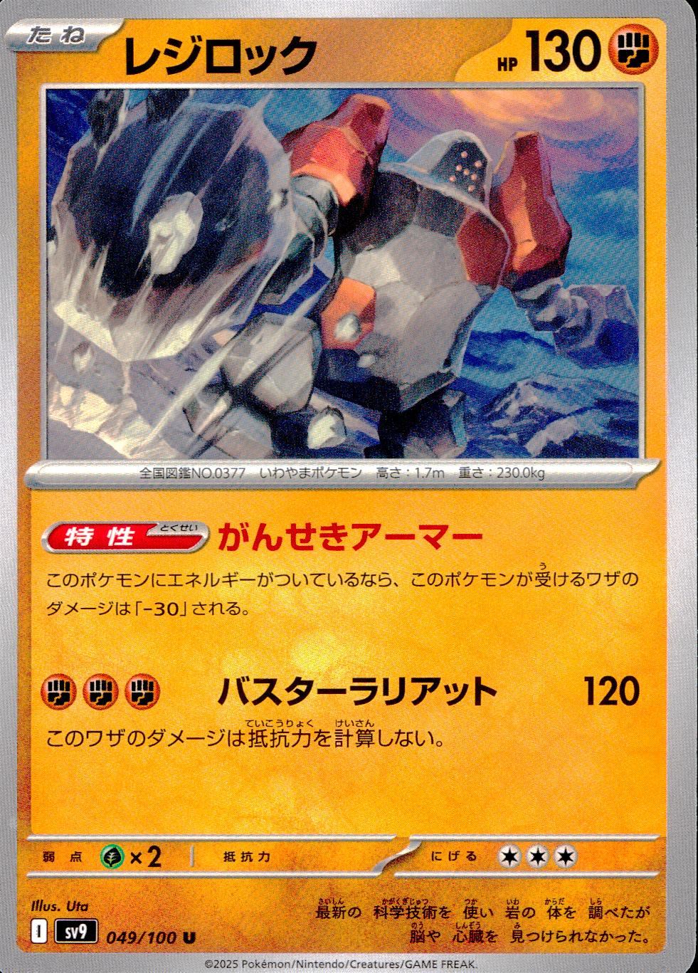 049/100/SV9/B/U レジロック