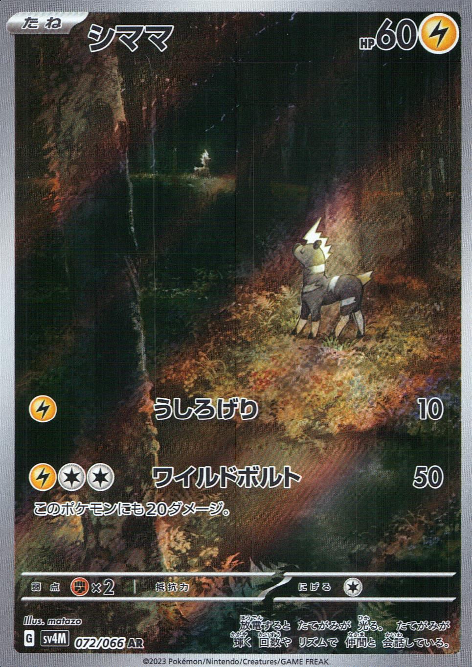 072/066/SV4M/B/AR シママ