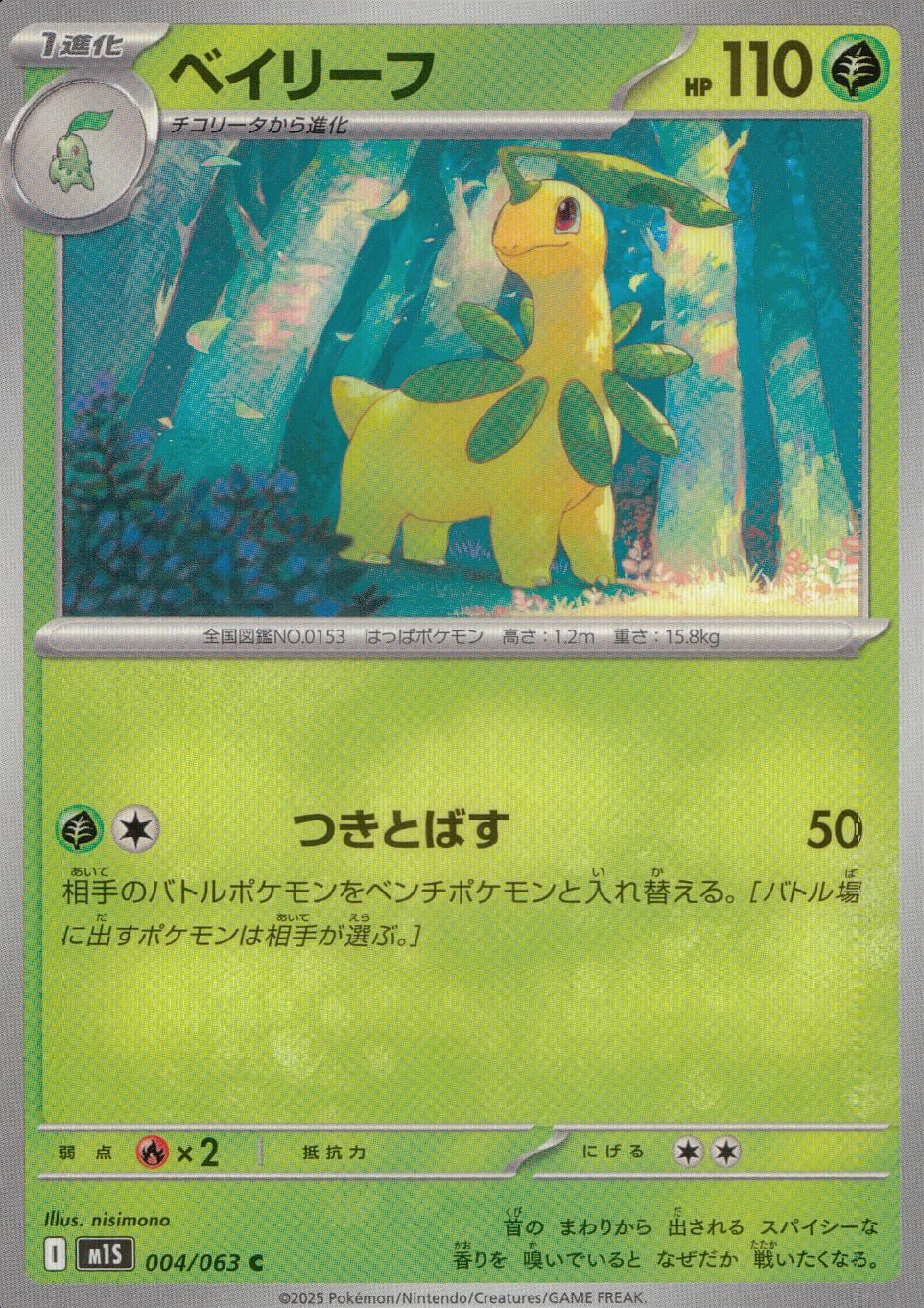 004/063/M1S/B/C Bay Leaf