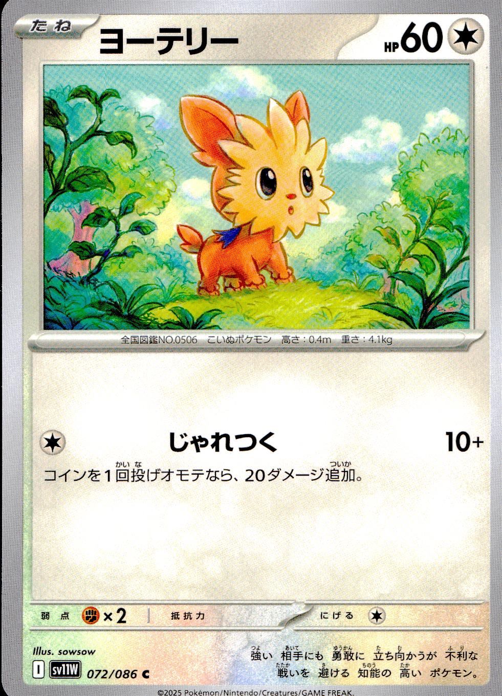 072/086/SV11W/B/C ヨーテリー