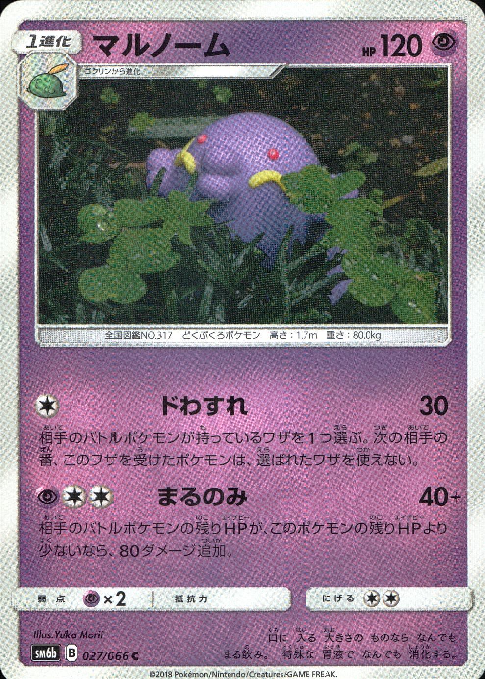 027/066/SM6B/マルノーム