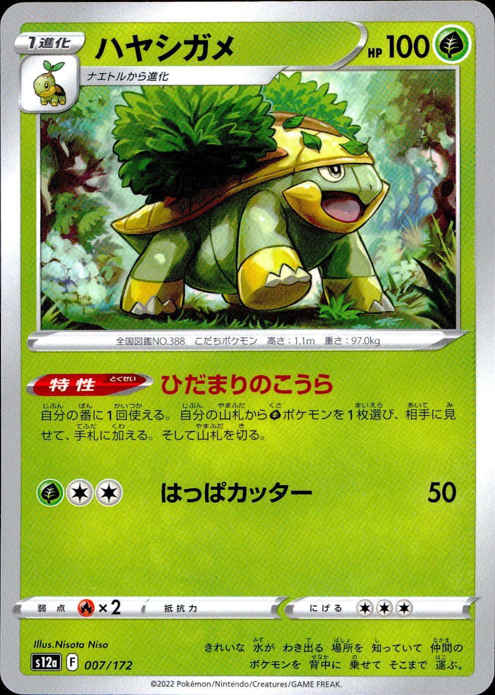 007/172/S12A/B ハヤシガメ