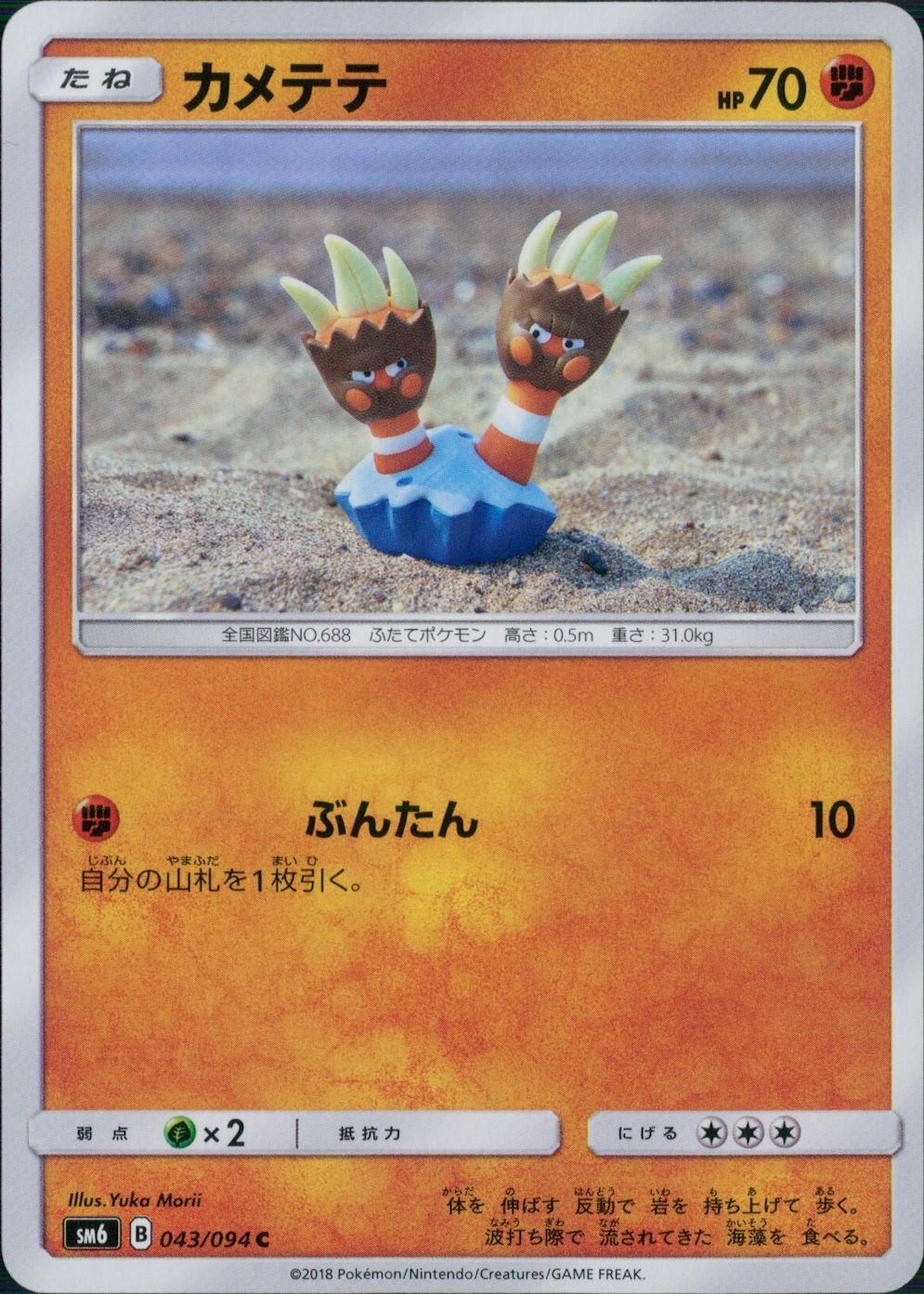 043/094/SM6/カメテテ