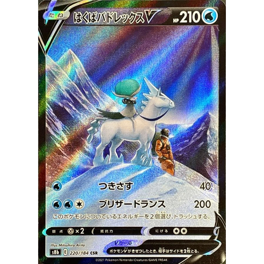 220/184/S8B/B/CSR Hakuba Badrex V