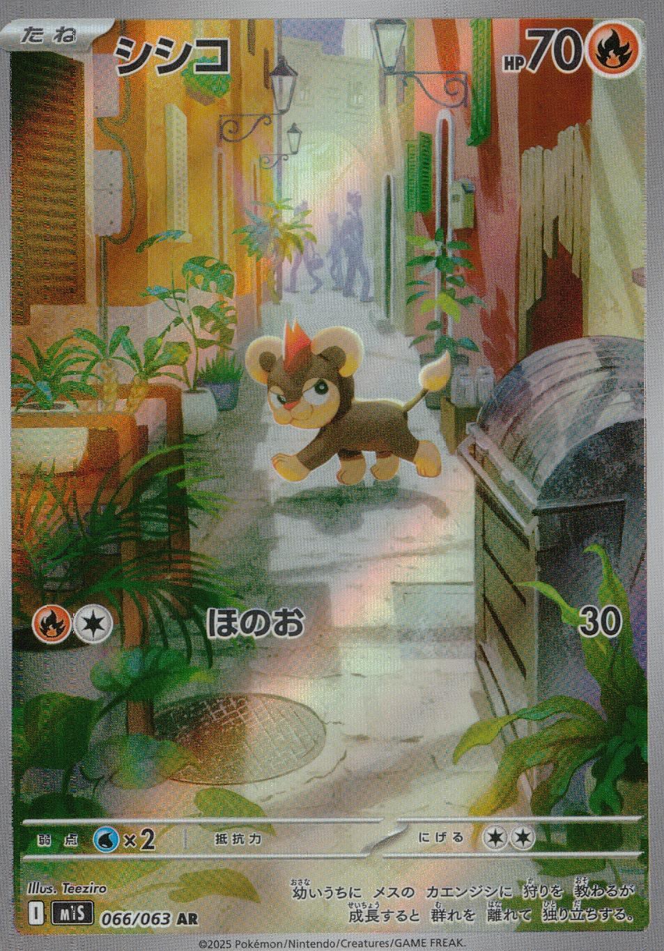 066/063/M1S/B/AR シシコ