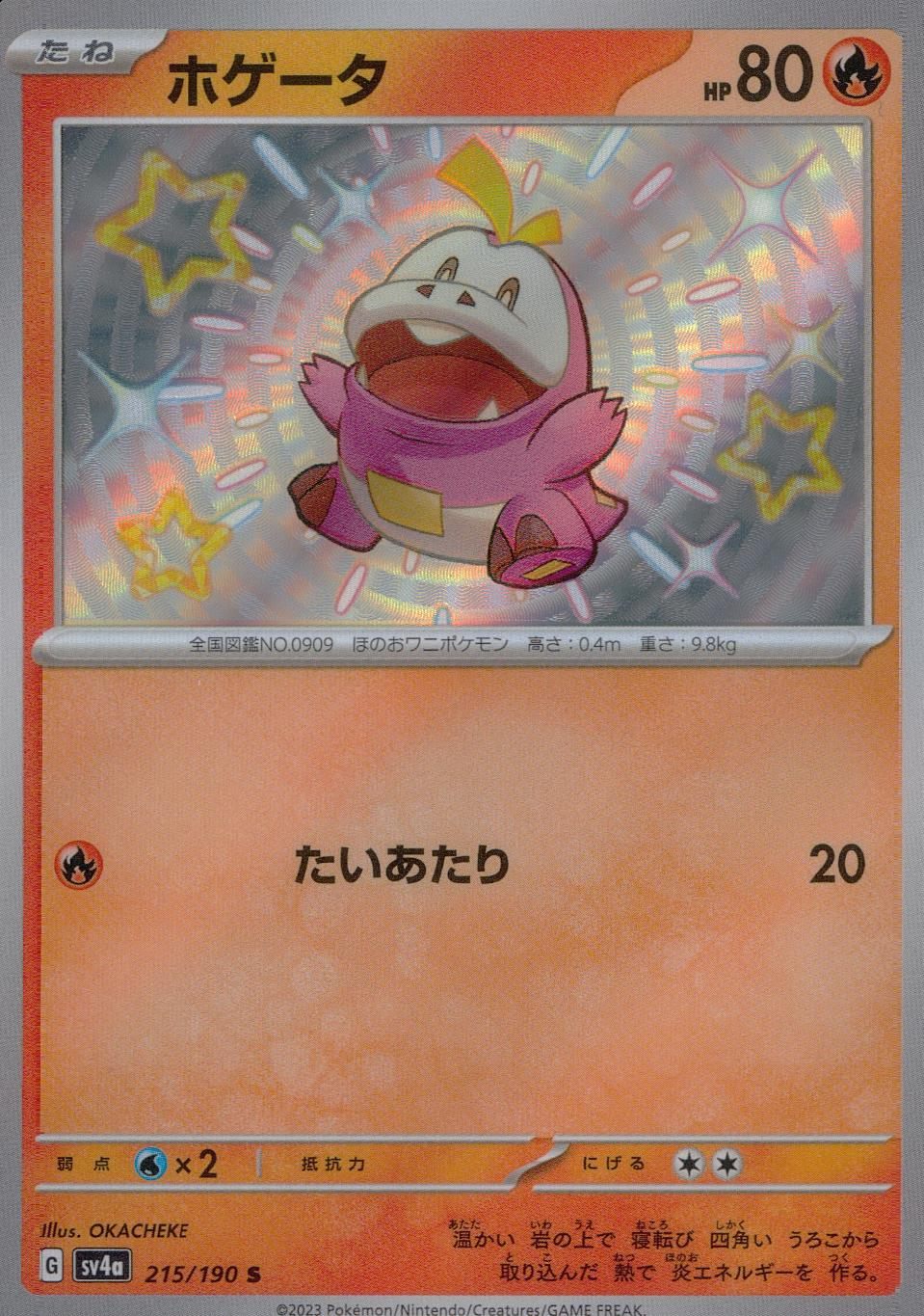 215/190/SV4A/B Hogter