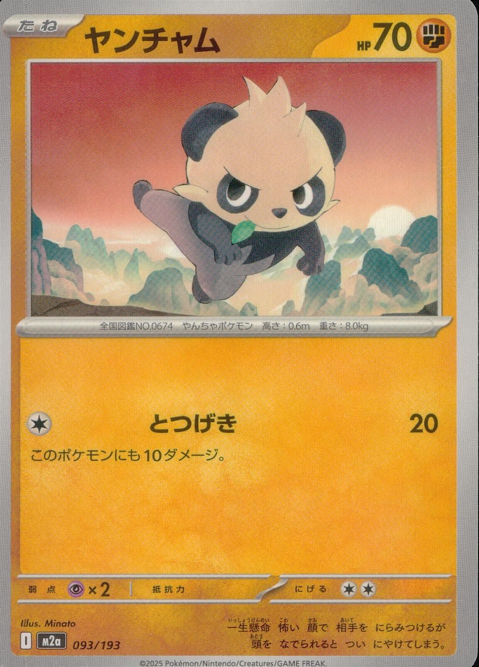 093/193/M2a ヤンチャム