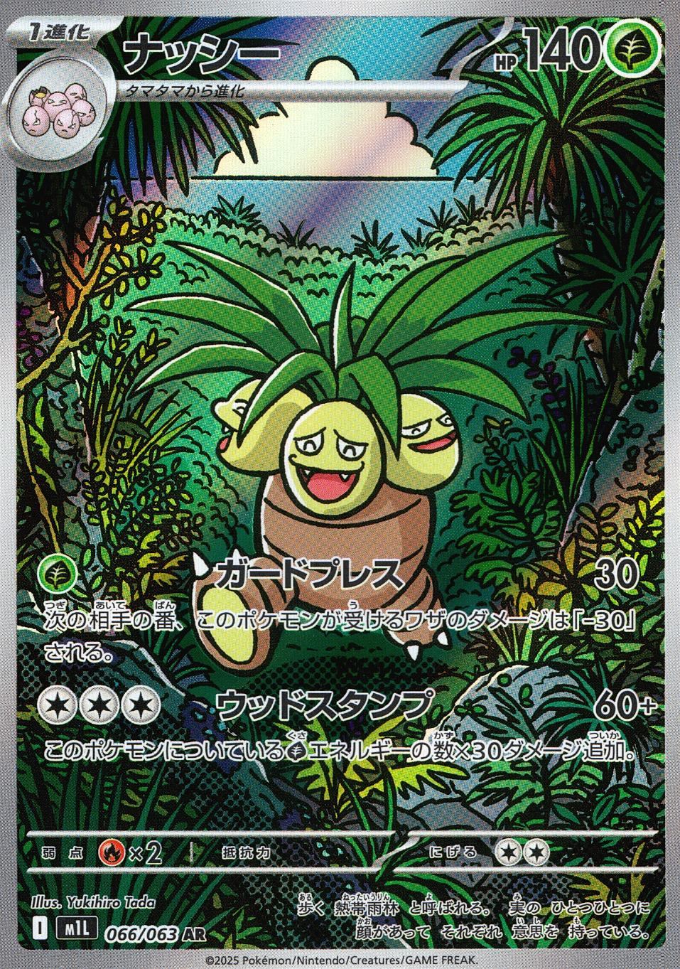 066/063/M1L/B/AR ナッシー