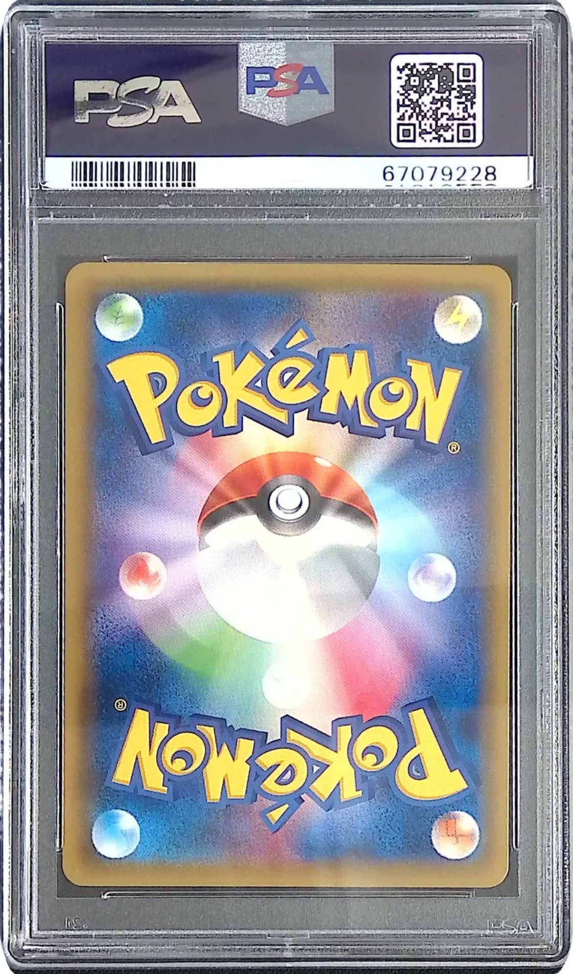 207/XY-P/PROMO ポンチョを着たピカチュウ PSA10 67079228